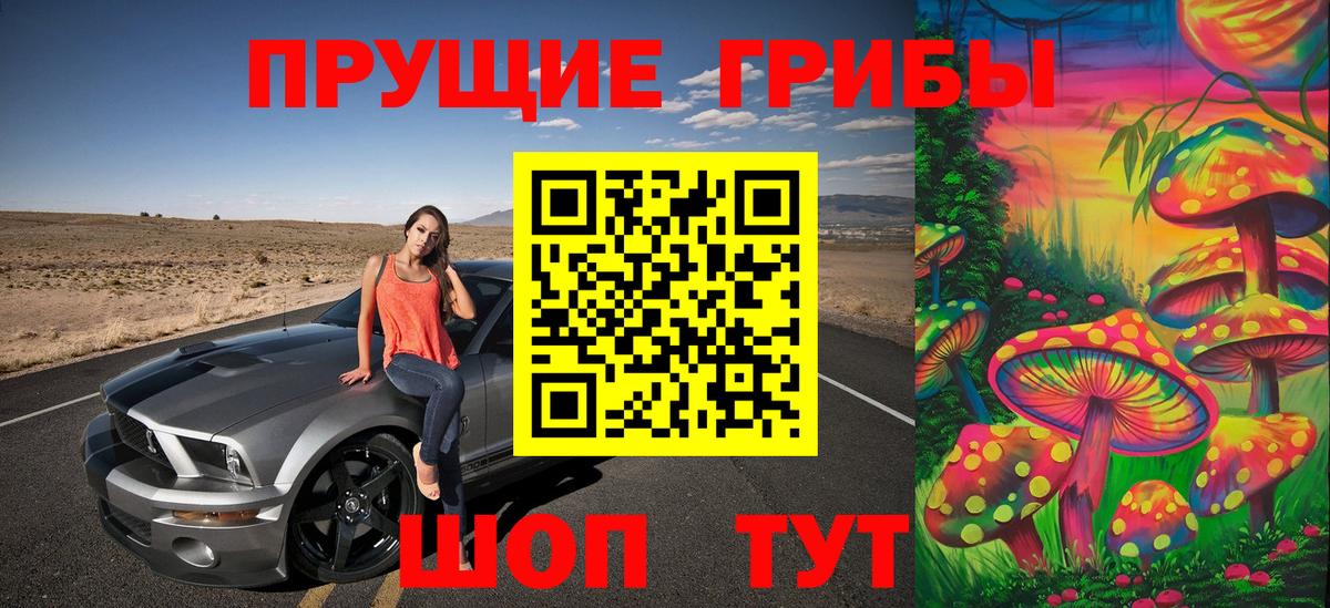 Дивногорск  закладки  Вход с VPN  Псилоцибиновые грибы Psilocybine cubensis 